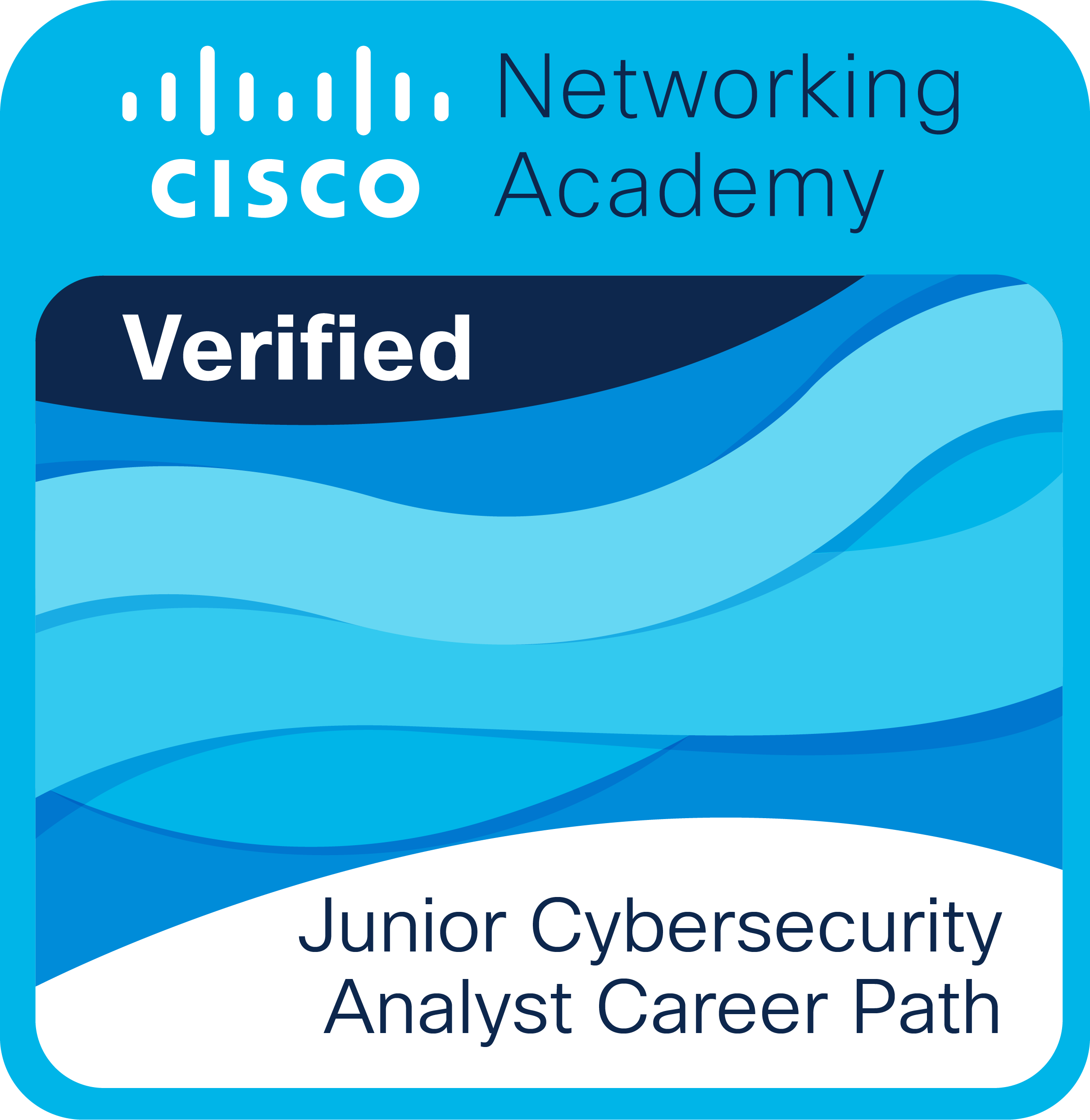Cisco Certificate